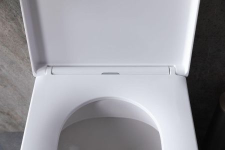Унитаз приставной Allen Brau Infinity 4.21003.20 белый с сиденьем микролифт безободковый каскадный смыв
