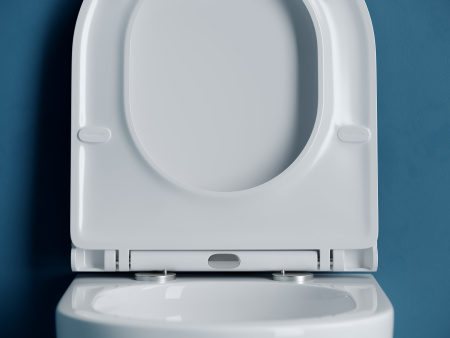 Унитаз подвесной Ceramica Nova VOGUE CN4008T белый с сиденьем микролифт безободковый смыв торнадо