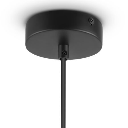 Светильник подвесной Freya Perlina FR4005PL-02B