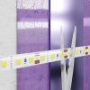 Светодиодная лента Maytoni Led Strip 10117