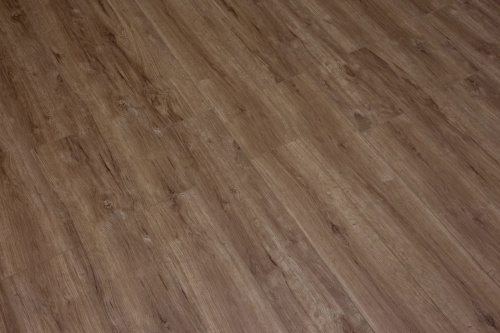 SPC ламинат Damy Floor FAMILY 248-8 Дуб Имбирный - фото 4
