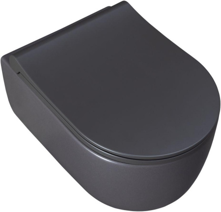 Чаша унитаза подвесная Allen Brau Priority 4.31002.AN цвет черный без сиденья безободковая каскадный смыв