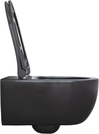 Чаша унитаза подвесная Allen Brau Priority 4.31001.AN цвет черный без сиденья безободковая каскадный смыв