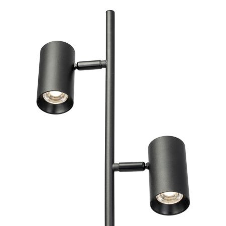 Торшер Citilux Twin (Твин) CL809011N
