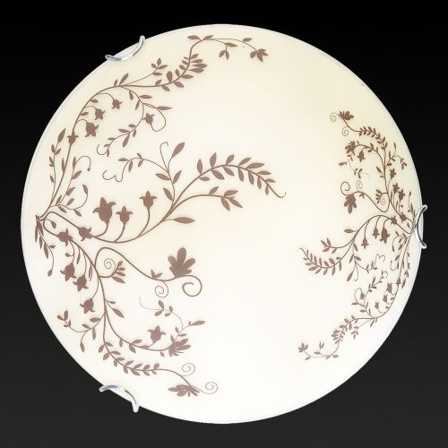 Светильник накладной Toplight Irene (Ирене) TL9631Y-00WH - фото 2