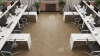 Ламинат Alpine Floor Herringbone 12 Pro New LF106-07 Дуб Прованс толщина 1.2 см 34 класс 606х101