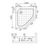 Душевой поддон акриловый RGW Acryl 16180500-11 100х100 белый
