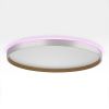 Светильник накладной Citilux Etalon (Еталон) CL750500R