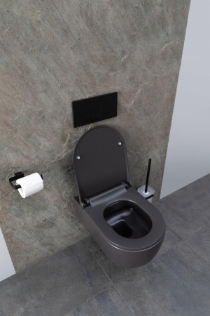 Чаша унитаза подвесная Allen Brau Priority 4.31001.AN цвет черный без сиденья безободковая каскадный смыв