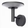 Уличный настенный светильник Citilux Dorn (Дорн) CLU05W