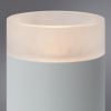 Светильник накладной Arte Lamp Ogma (Огма) A5556PL-1WH