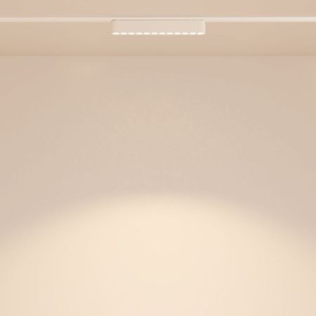 Трековый светодиодный светильник Maytoni Technical Points (Точки) TR082-1-12W3K-M-W