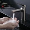 Смеситель Raglo R03 R03.10.09 на раковину графит