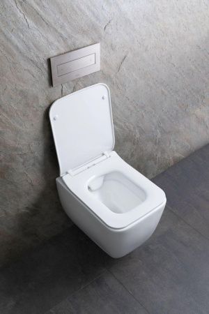 Чаша унитаза подвесная Allen Brau Liberty 4.33007.21 цвет белый без сиденья безободковая каскадный смыв