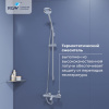 Душевая стойка RGW Shower Panels (Шоувер панелс) 30140123-01 настенная цвет хром