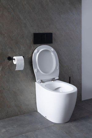 Унитаз приставной Allen Brau Fantasy 4.11007.20 белый с сиденьем микролифт безободковый каскадный смыв