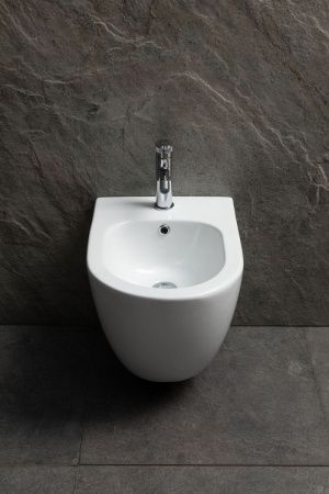 Биде подвесное Allen Brau Priority 4.31012.20 цвет белый