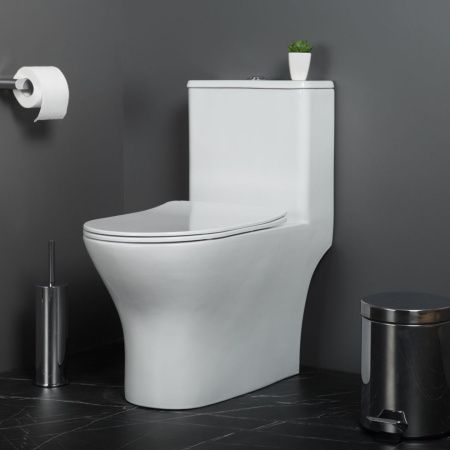 Унитаз напольный с бачком BelBagno LOUNGE BB8618CPR-MN/SC белый с сиденьем микролифт безободковый каскадный смыв