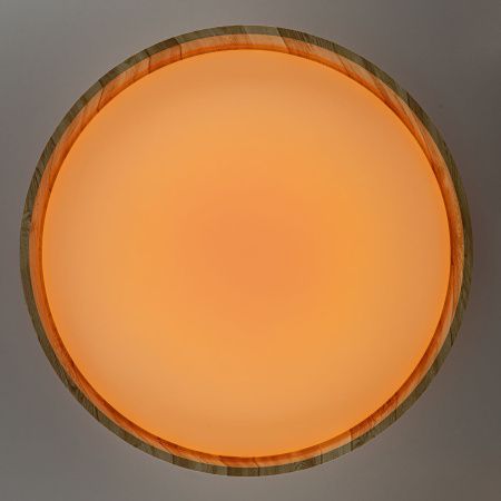 Светильник потолочный музыкальный Citilux Enzo (Ензо) CL753452G