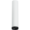 Светильник накладной Lightstar RULLO (РУЛЛО) R4963437