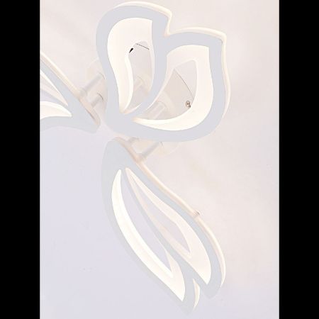 Люстра потолочная Natali Kovaltseva Fortuna (Фортуна) LED LAMPS 81107/2C