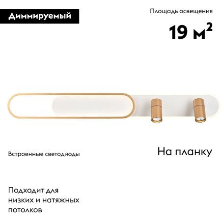 Настенно-потолочный светильник Favourite Planar (Планар) 4075-2C