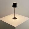 Уличный настольный светильник Arte Lamp Fuyue (Фуыуе) A1614LT-1BK