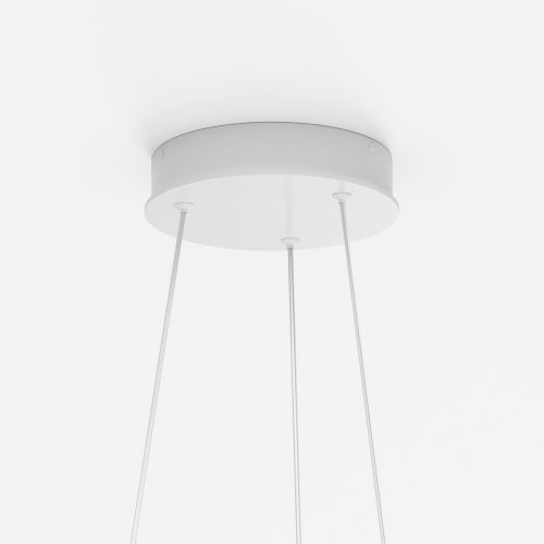 Светильник подвесной Maytoni Rim Modern MOD058PL-L65WK - фото 5