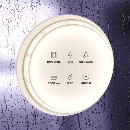 Светодиодная лента Maytoni Led Strip 10118