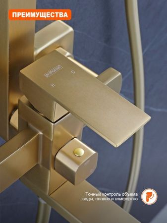 Душевая стойка ProHanss P30.24.03 настенная цвет золото