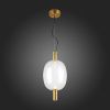 Светильник подвесной ST Luce ALLENORE (АЛЛЕНОРЕ) SL1582.313.01