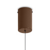 Светильник подвесной Freya Movement (Движение) FR5602PL-L5BR