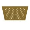 Верхний душ Wasserkraft Aisch 5500 A198 золото