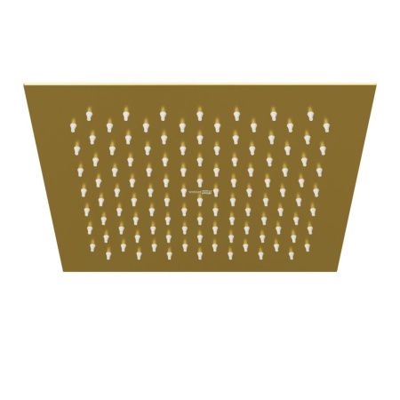 Верхний душ Wasserkraft Aisch 5500 A198 золото
