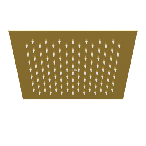 Верхний душ WasserKRAFT Aisch 5500 A198 золото - фото 2