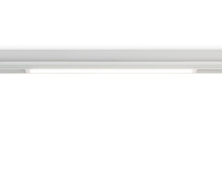 Трековый светодиодный светильник Ambrella Light Magnetic 220V (Магнетиц 220В) GL1665