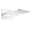 Верхний душ Hansgrohe Raindance Rainfall 28433000 20х45 хром
