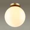 Светильник потолочный Odeon Light Bosco (Босцо) 4248/1C