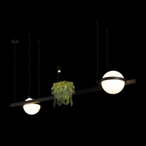 Светильник подвесной Loft It Jardin 10121/D - фото 4