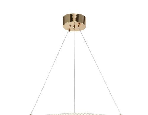 Люстра подвесная Zortes Ringer (Рингер) ZRS.57792.116 - фото 5