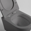 Унитаз подвесной Vincea Globo VT1-14SMA антрацит матовый с сиденьем микролифт безободковый душевой смыв