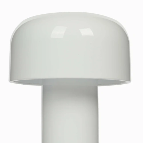 Светильник настольный Cosmo Franklin CT0031 - фото 4