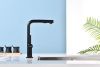 Смеситель для кухни Paulmark NEO Ne214419-AN на мойку черный