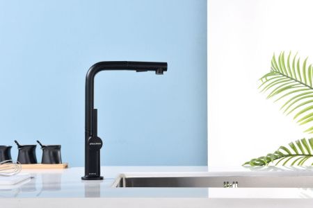 Смеситель для кухни Paulmark NEO Ne214419-AN на мойку черный
