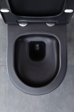 Чаша унитаза подвесная Allen Brau Priority 4.31001.31 цвет черный матовый без сиденья безободковая каскадный смыв