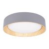 Светильник потолочный Loft It Coin 10202 Grey