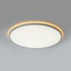 Светильник потолочный Citilux Norma (Норма) CL749500