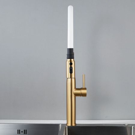 Смеситель для кухни Shevanik S123G-1 на мойку золото