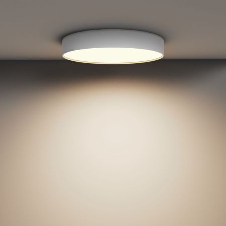 Светильник потолочный Maytoni Technical Zon (Зон) C032CL-45W3K-RD-W