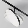 Трековый светодиодный светильник Maytoni Technical Plato TR131-2-15W4K-B